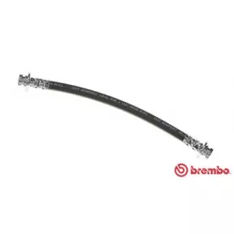 BREMBO T 54 010 - Flexible de frein