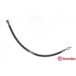 BREMBO T 54 011 - Flexible de frein