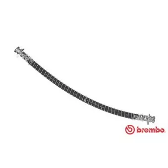 BREMBO T 54 022 - Flexible de frein