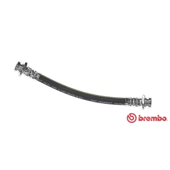 BREMBO T 54 025 - Flexible de frein