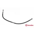 BREMBO T 54 037 - Flexible de frein