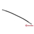 BREMBO T 54 042 - Flexible de frein