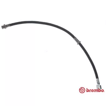 BREMBO T 54 053 - Flexible de frein