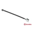 BREMBO T 56 032 - Flexible de frein