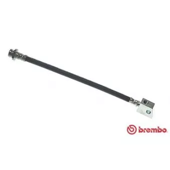 Flexible de frein BREMBO OEM 462109C016