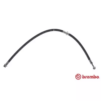 BREMBO T 56 035 - Flexible de frein