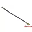 BREMBO T 56 075 - Flexible de frein