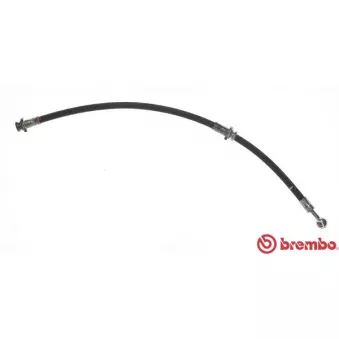 BREMBO T 56 078 - Flexible de frein