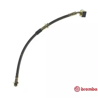 BREMBO T 56 095 - Flexible de frein