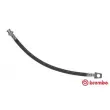 BREMBO T 56 114 - Flexible de frein