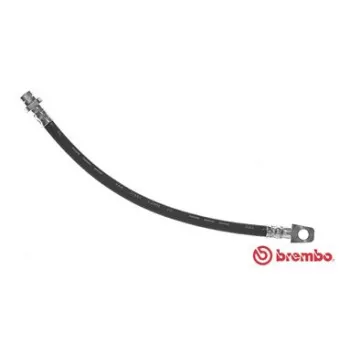Flexible de frein BREMBO OEM 46210C8000