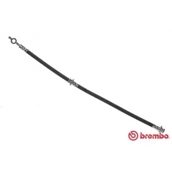 Flexible de frein BREMBO OEM 462104U200