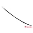 BREMBO T 56 137 - Flexible de frein