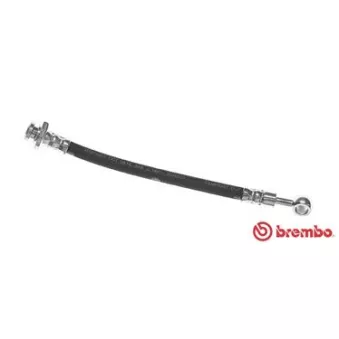 Flexible de frein BREMBO OEM 4621002J10