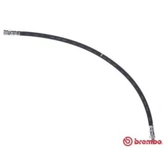 BREMBO T 56 145 - Flexible de frein