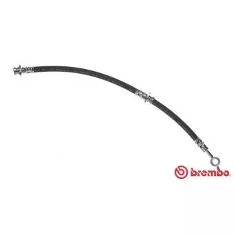 Flexible de frein BREMBO OEM 462102F001 Flexible de frein BREMBO OEM 462102F001