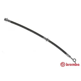 Flexible de frein BREMBO OEM 462102f002