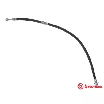 Flexible de frein BREMBO OEM 462102F205
