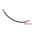 BREMBO T 56 154 - Flexible de frein