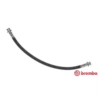 Flexible de frein BREMBO OEM 462142F001