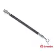 BREMBO T 56 161 - Flexible de frein