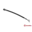 BREMBO T 56 162 - Flexible de frein