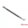 BREMBO T 56 164 - Flexible de frein