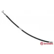 BREMBO T 56 174 - Flexible de frein