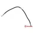 BREMBO T 56 180 - Flexible de frein