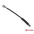 BREMBO T 59 001 - Flexible de frein