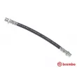 BREMBO T 59 017 - Flexible de frein