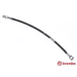 BREMBO T 59 022 - Flexible de frein