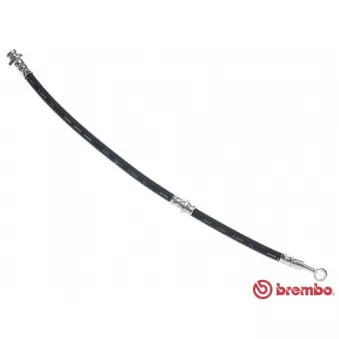 BREMBO T 59 024 - Flexible de frein