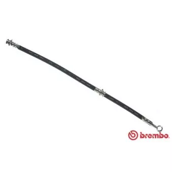 Flexible de frein BREMBO OEM 5155083E00