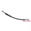 BREMBO T 59 037 - Flexible de frein