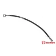 BREMBO T 59 056 - Flexible de frein
