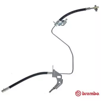 Flexible de frein BREMBO T 59 071 pour OPEL MERIVA 1.7 CDTI - 100cv
