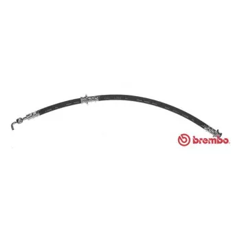 BREMBO T 59 075 - Flexible de frein