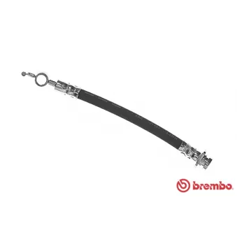 BREMBO T 59 076 - Flexible de frein