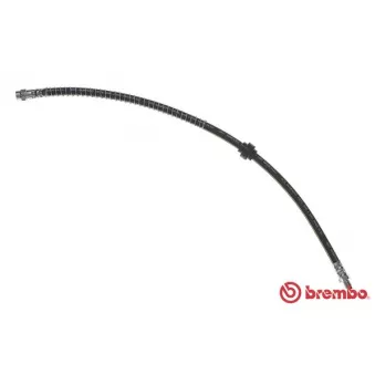 BREMBO T 59 078 - Flexible de frein