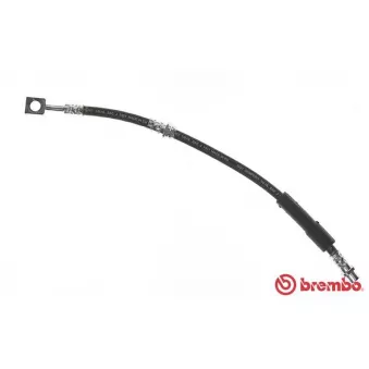 Flexible de frein BREMBO T 59 080 pour OPEL VECTRA 2.2 Direct - 155cv