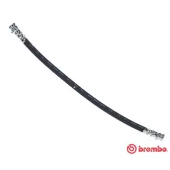 BREMBO T 59 082 - Flexible de frein