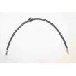 BREMBO T 59 089 - Flexible de frein