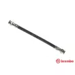 BREMBO T 61 002 - Flexible de frein