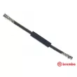BREMBO T 61 016 - Flexible de frein