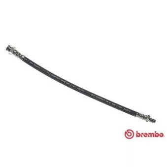 BREMBO T 61 032 - Flexible de frein