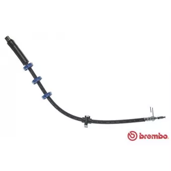 BREMBO T 61 035 - Flexible de frein