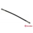 BREMBO T 61 043 - Flexible de frein