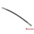 BREMBO T 61 049 - Flexible de frein