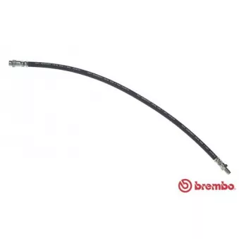 BREMBO T 61 054 - Flexible de frein
